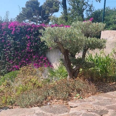 Villa Du Bau Rouge ガイヤック エクステリア 写真